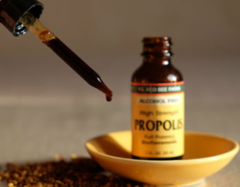 tincture of propolis without alcohol from YS Eco Bee Farms