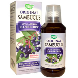 Nature's Way, Original Sambucus, Standardized Elderberry iherb