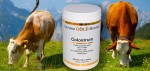 Colostrum in the therapy of autoimmune diseases, gastrointenstinal diseases and for collagen synthesis