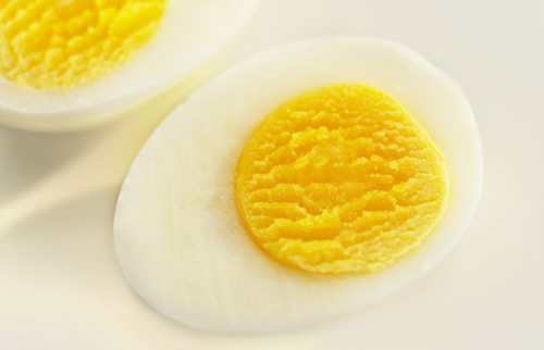 egg protein